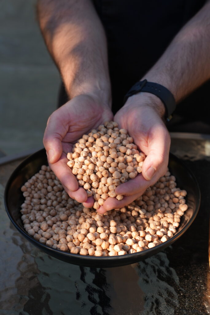 Close-up of raw, dried chickpeas at a rehabilitation facility